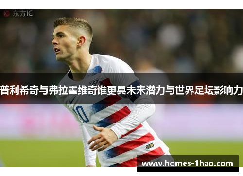 普利希奇与弗拉霍维奇谁更具未来潜力与世界足坛影响力