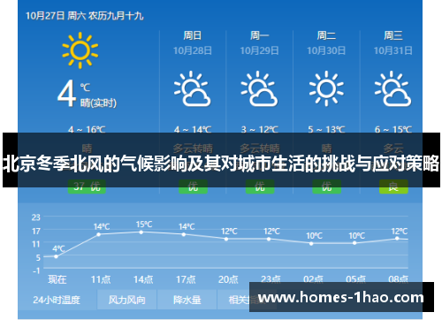 北京冬季北风的气候影响及其对城市生活的挑战与应对策略